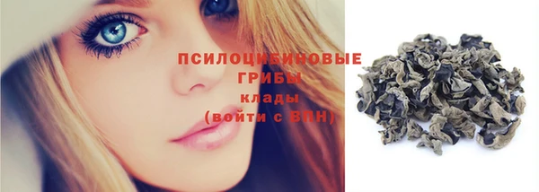 винт Михайлов